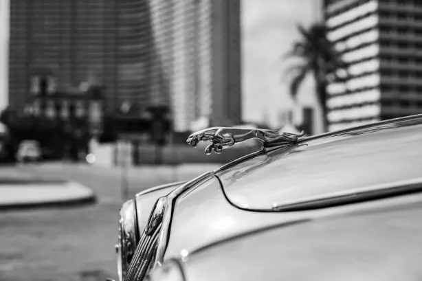 Betobet Casino Android/iOS-app